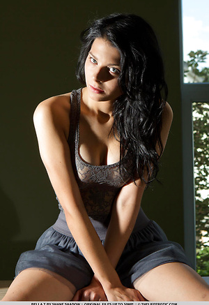 Bella T: "All In" by Shane Shadow